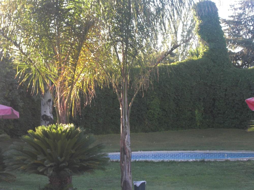 Don Gonzalo 3*