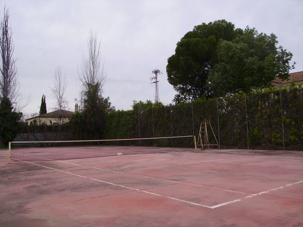 Don Gonzalo